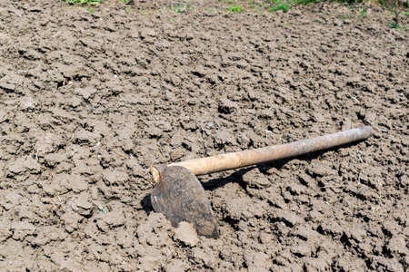 Gardening hoe on the cultivated soil agricultureの写真素材