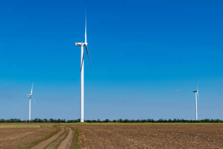 Wind turbines in the field in summerの写真素材