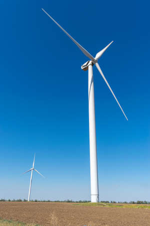 Wind turbines in the field in summerの写真素材