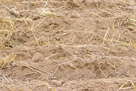 Fresh tillage soil background closeupの写真素材