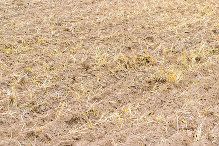 Fresh tillage soil background closeupの写真素材