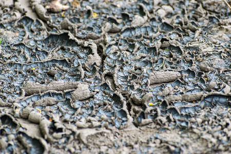 Cracked soil in the dry climate area in soft tones closeupの写真素材
