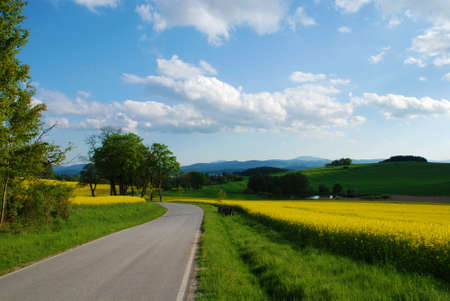 Road in the country and blooming rape field in the springの写真素材