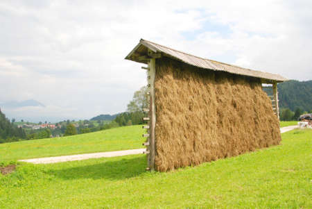 Hay dryers traditional construction in Sloveniaの写真素材