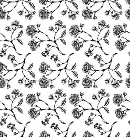 Vector illustration of vintage engraved rose twigs with leaves and petals.のイラスト素材