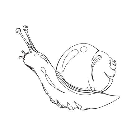 illustration of snail in continuous line graphic style, black contour outline sketch isolated on whiteのイラスト素材