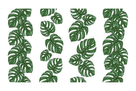 Monstera seamless border divider set or collection of vertical decorative repeating ornamentのイラスト素材