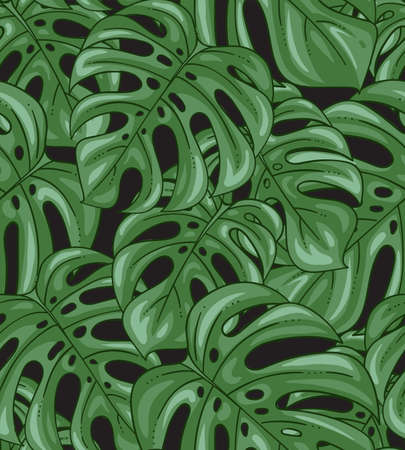 Monstera plant exotic colorful seamless pattern with botanical leaves and dense green foliage vector illustrationのイラスト素材