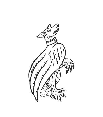 Medieval art chimera flying dog gargoyle illuminated scroll illustration ink drawing ancient beast in bestiary of european monks vector isolated on whiteのイラスト素材