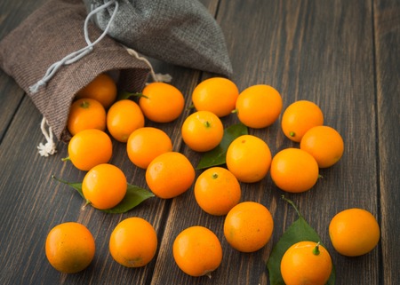 Cumquats, kinkans or fortunella orange fruits with fabric bags on dark rustic wooden background closeupの写真素材