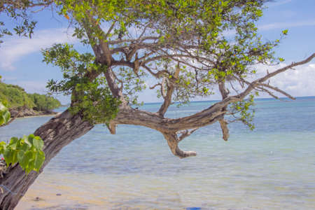 caribbean landscapeの写真素材