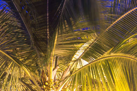 caribbean landscapeの写真素材