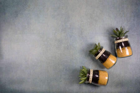 Three cacti on grey background, composition. Minimal abstract background composition with floral...