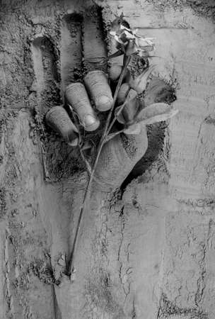 Hand reaching out and holding rose in cement. Memorial day, funeral, fallen soldiers and mourning concept.の写真素材