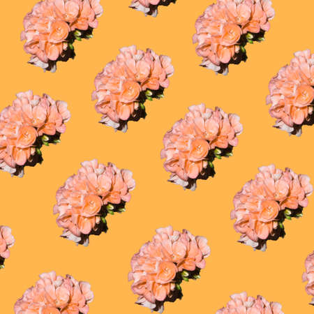 Garden geranium multiplied on pastel orange background. Minimal abstract seamless pattern. Floral...