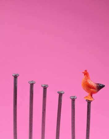 Kids toy rooster chicken climbing ladder to success. Stairway made of steel nails. Funny business idea. Minimal abstract success concept. With copy space.の写真素材