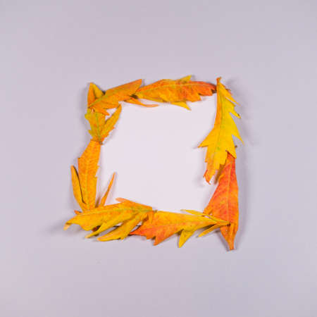 Autumn leaves greeting card on trendy grey background. Flat lay. Top view. Happy holidays idea....