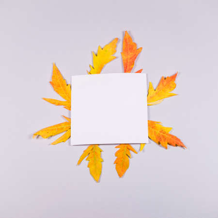 Autumn leaves greeting card on trendy grey background. Flat lay. Top view. Happy holidays idea....