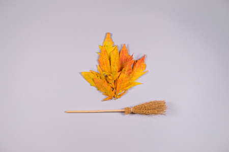 Minimal flat lay concept with fallen autumn leaves and broomstick. Season specific colors and...