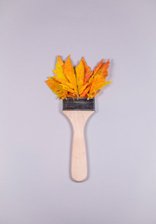 Autumn leaves growing from wooden brush on trendy grey background. Flat lay. Top view. Environment idea. Minimal fall and season specificの写真素材