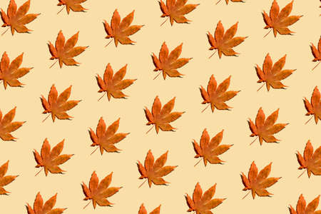 Fallen autumn leaves pattern on pastel beige background. Creative top view layout. Flat lay. Minimal...