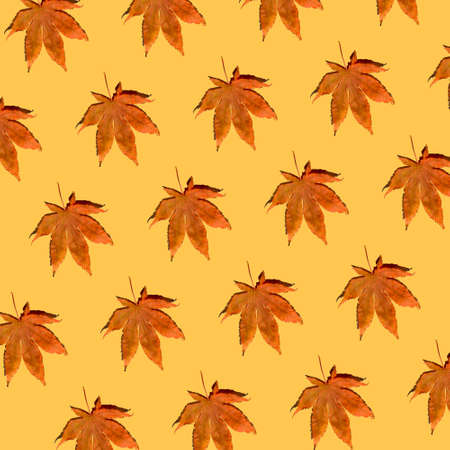 Fallen autumn leaves pattern on pastel yellow background. Creative top view layout. Flat lay. Minimal abstract fall and season specific concept.の写真素材