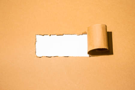 Ripped paper background for copy space. Minimal layer, note or message concept. Flat lay, top view.の写真素材