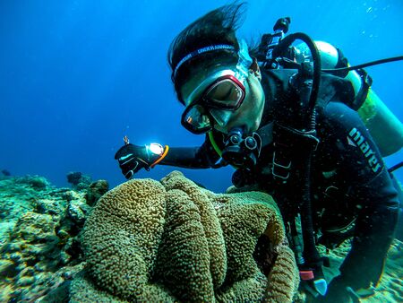 Women who enjoy diving in the clean sea