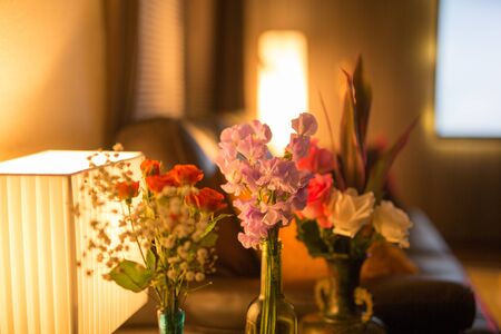 Beautiful flowers in the roomの写真素材