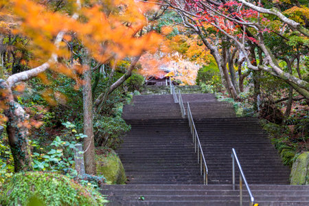 Beautiful autumn leaves and Japanese women's holiday