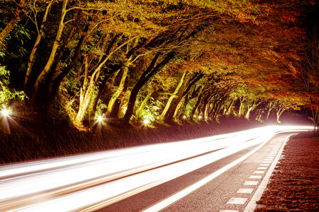 Night photography of the illuminated road of Yabakei, famous for its autumn foliageの写真素材
