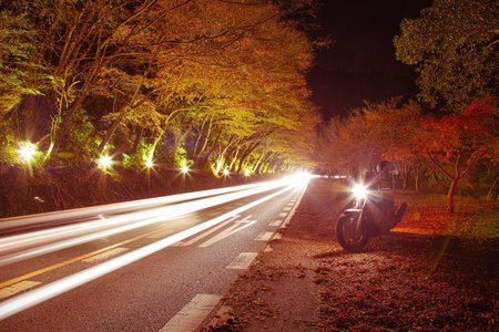 Night photography of the illuminated road of Yabakei, famous for its autumn foliageの写真素材