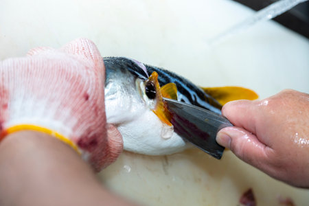 pufferfish  is cooked by a Japanese chef with a special license