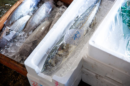 Fresh fish for sale at a market in the city of Seoul in South Korea.の写真素材