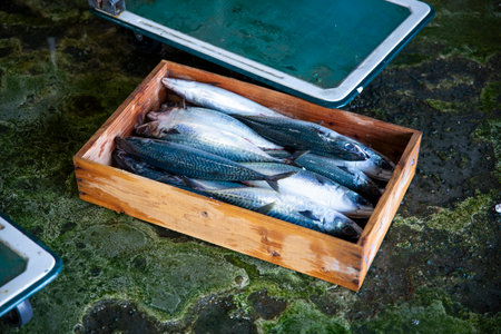 Fresh fish in a wooden box on the counter of a seafood restaurantの写真素材