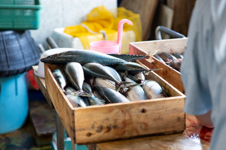 Fresh mackerel fish in wooden box for sale at fish marketの写真素材