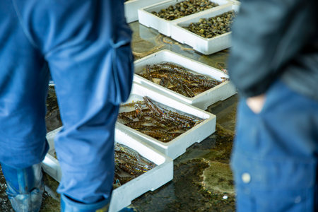 Fresh seafood in plastic boxes at the fish market. Selective focus.の写真素材
