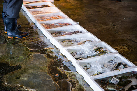 Frozen seafood in ice on the street market