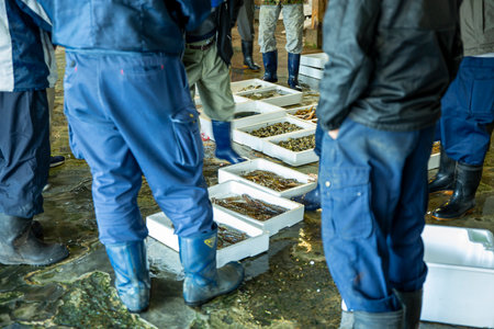 People at the fish market. Fish market. Close-up viewの写真素材