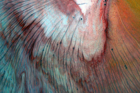 Abstract hand drawn watercolor background, stain watercolors colors between wet glasses. Used macro lens.の写真素材