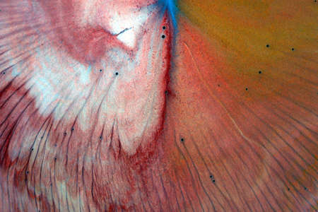 Abstract hand drawn watercolor background. Used macro lens. Image shows a butterfly wing.の写真素材