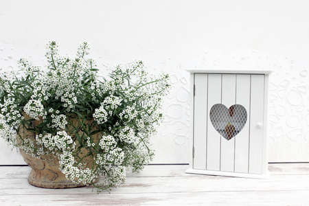 Still life with white Sweet Alyssum (Lobularia Desv.) Flower in clay vase and little key box on the white wooden table. Soft focus on white painting background.の写真素材