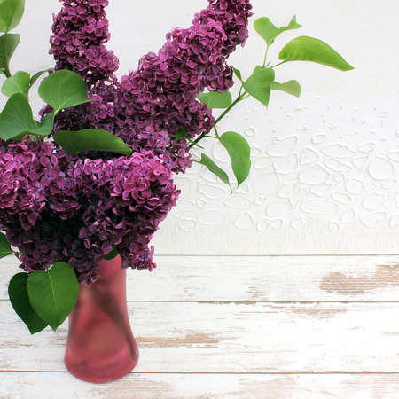 Still life with purple Lilac (Syringa L.) flower in pink glass vase on the wooden table. Soft focus on white painting background.の写真素材
