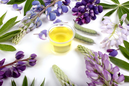 A bowl of lupine oil surrounded by purple lupine flowers on a white background.の写真素材