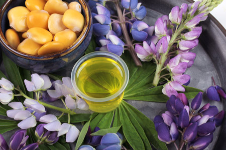 Top view of lupine oil, lupine flowers and lupine beans on a rustic surface.の写真素材