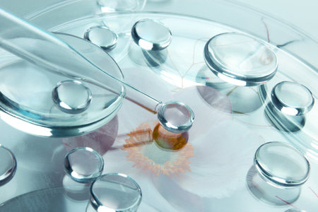 Chemical laboratory research. Abstract cosmetic laboratory. Glass model of molecules.の写真素材