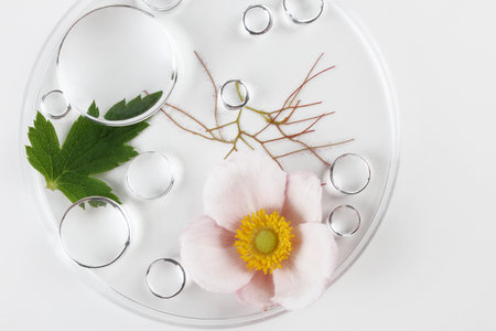 Chemical laboratory research. Abstract cosmetic laboratory. Glass model of molecules.の写真素材