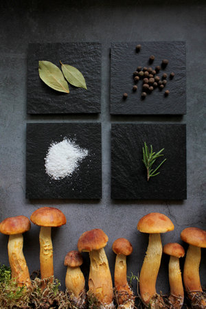 Aureoboletus projectellus mushrooms with spices on dark background. Menu concept. Flat lay, close up, copy space.の写真素材