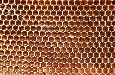 honeycombの写真素材