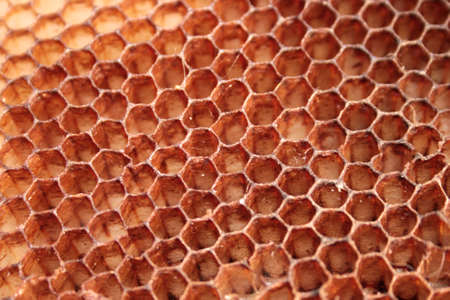 Honeycomb
